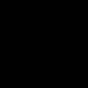 Meet your Posher, Anne